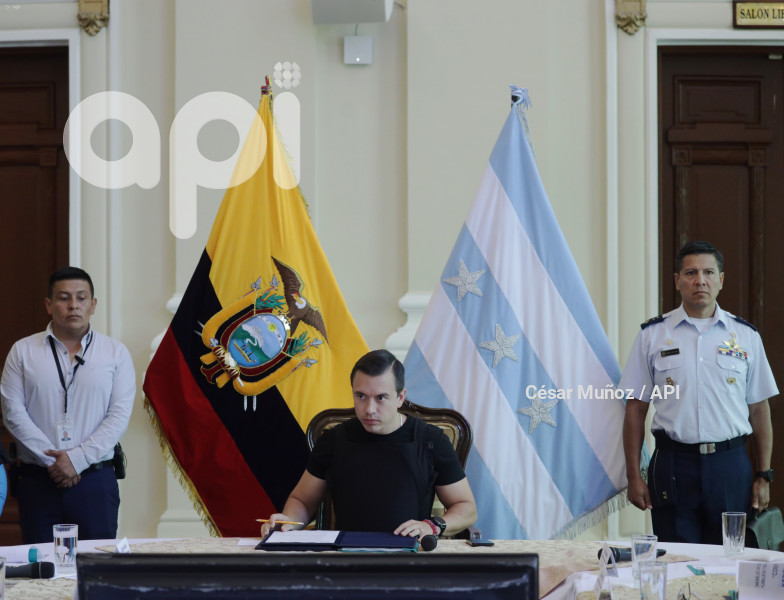 GYE-CONSEJO SEGURIDAD