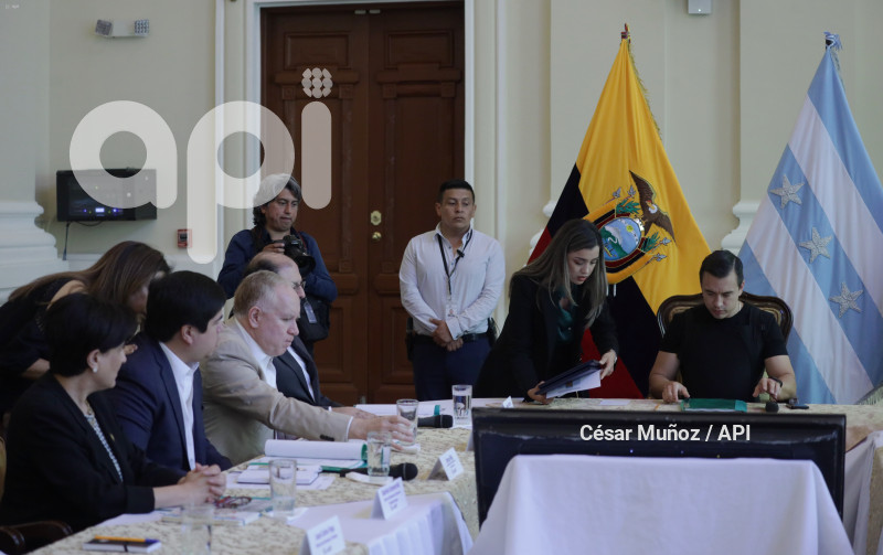 GYE-CONSEJO SEGURIDAD
