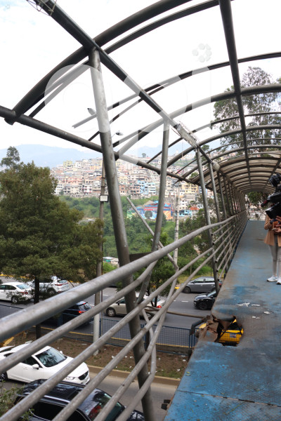ATENTADO-PASO-PEATONAL-TREBOL