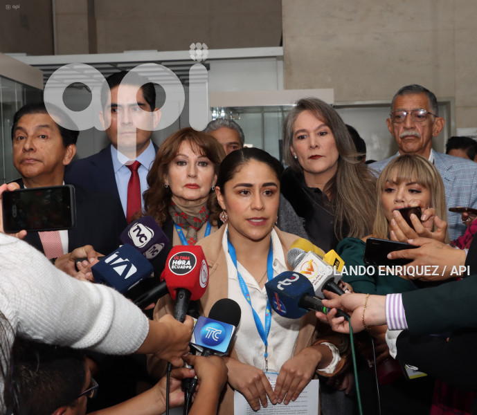 PRONUNCIAMIENTO-ASAMBLEISTAS-VIOLENCIA-PAIS