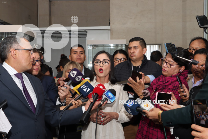 PRONUNCIAMIENTO-ASAMBLEISTAS-VIOLENCIA-PAIS