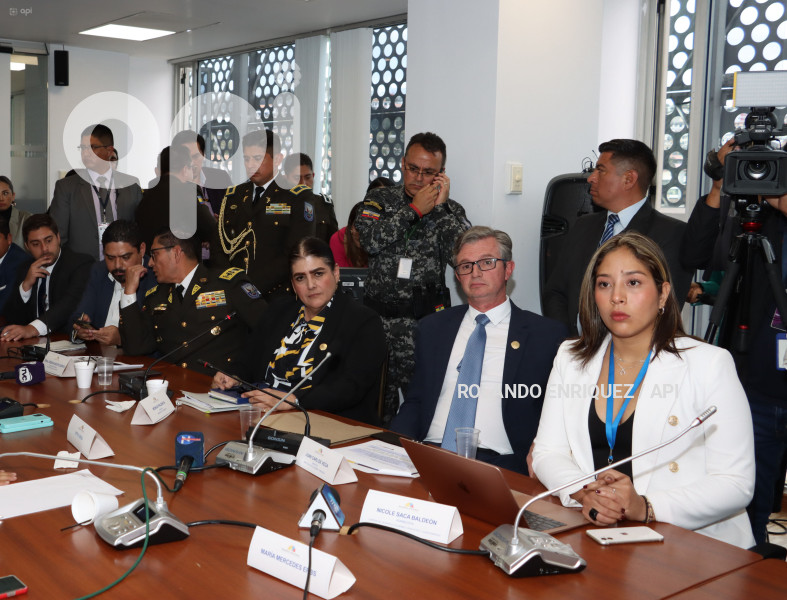 COMISION;ECONOMICO;MINISTRA-PALENCIA