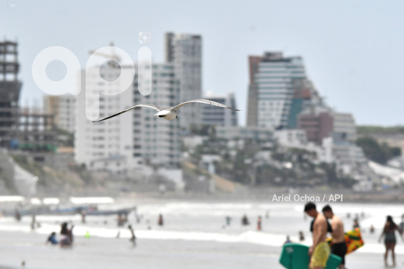 MANTA-SURF-TURISMO-EMERGENCIA-NACIONAL