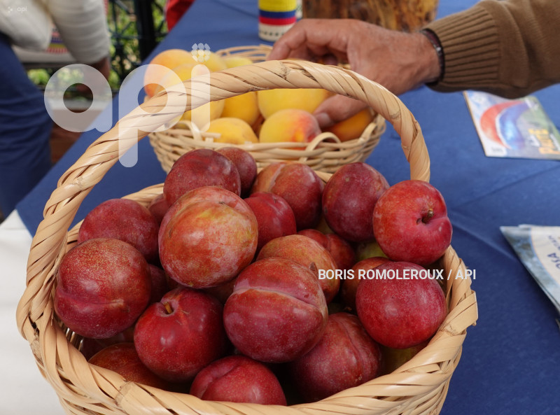CUENCA-LANZAMIENTO-CARNAVAL EN PAUTE
