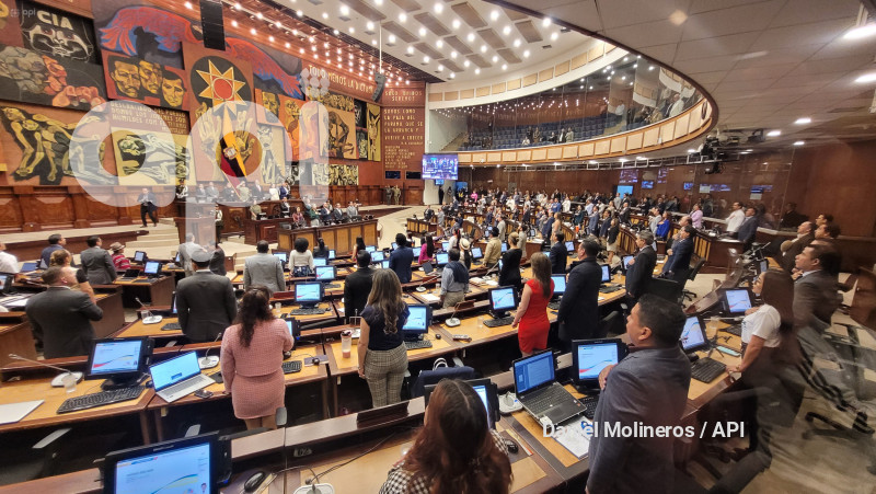 ASAMBLEA PLENO IVA