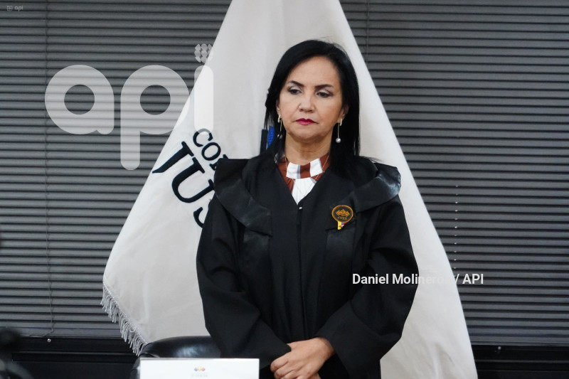 PRESIDENTE CNJ JUEZ SUING