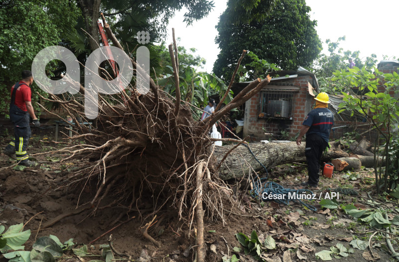 GYE-CASAS AFECTADAS TECHOS