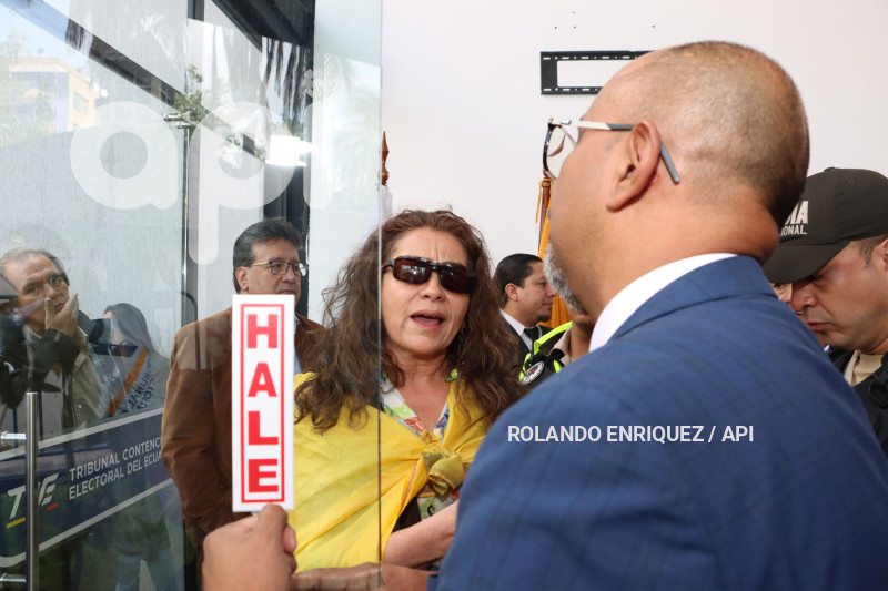 AUDIENCIA-PABEL-MUÑOZ-TCE