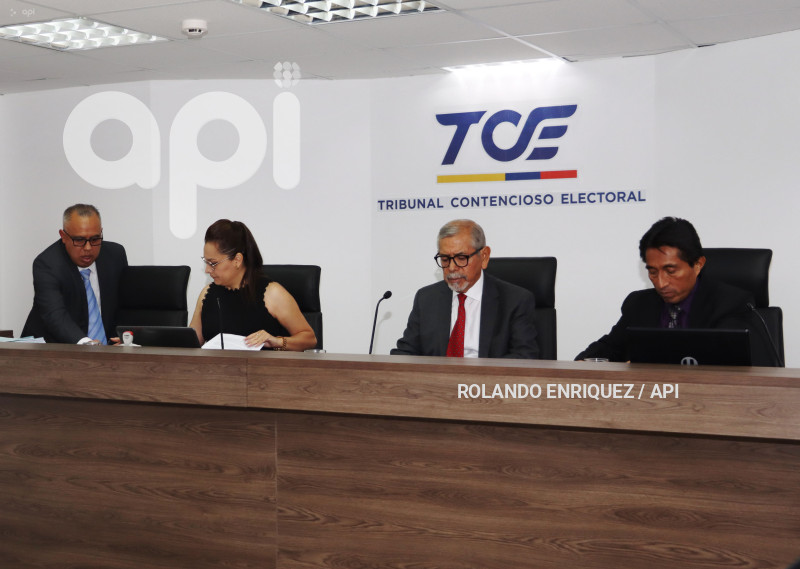 AUDIENCIA-PABEL-MUÑOZ-TCE