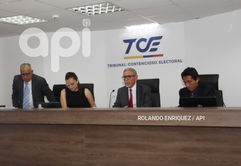 AUDIENCIA-PABEL-MUÑOZ-TCE
