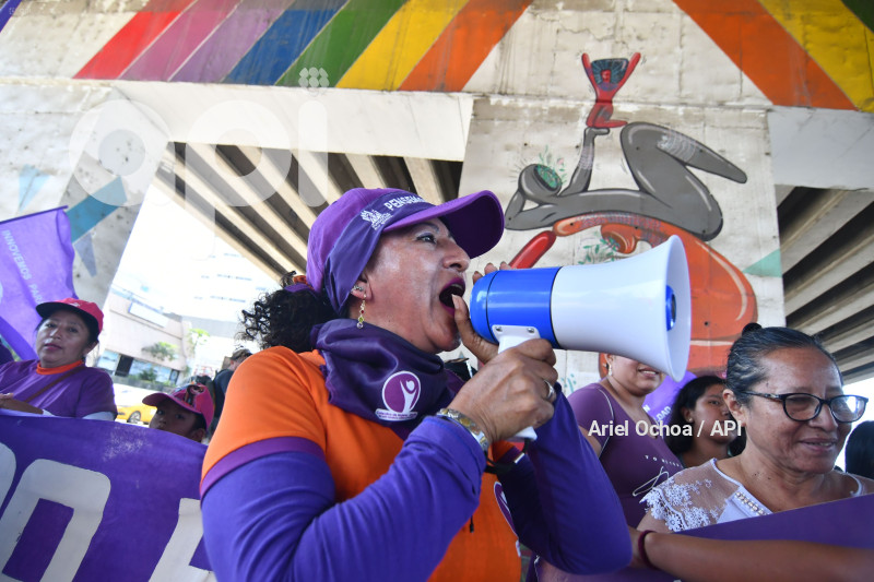 MANTA-DIA DE LA MUJER PLANTON 8M