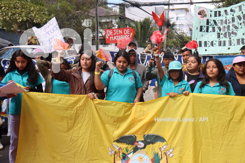 UIO-PROTESTA-PROHIBICION-MECHEROS