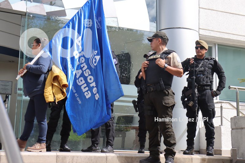 UIO-YAKU-PEREZ-ACCION-INCONSTITUCIONALIDAD