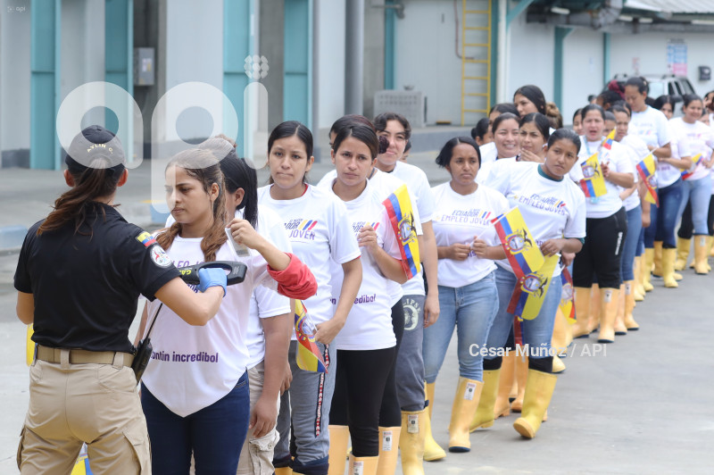 GYE-EMPLEO JOVEN