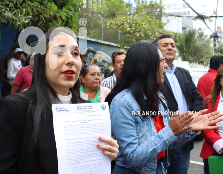 AMICUS-CURIAE-POR-VIA-SANTO-DOMINGO