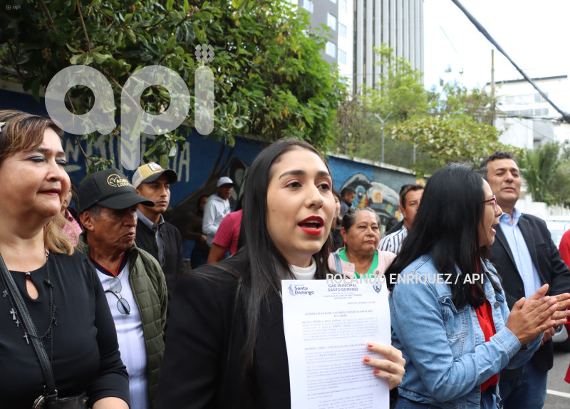 AMICUS-CURIAE-POR-VIA-SANTO-DOMINGO