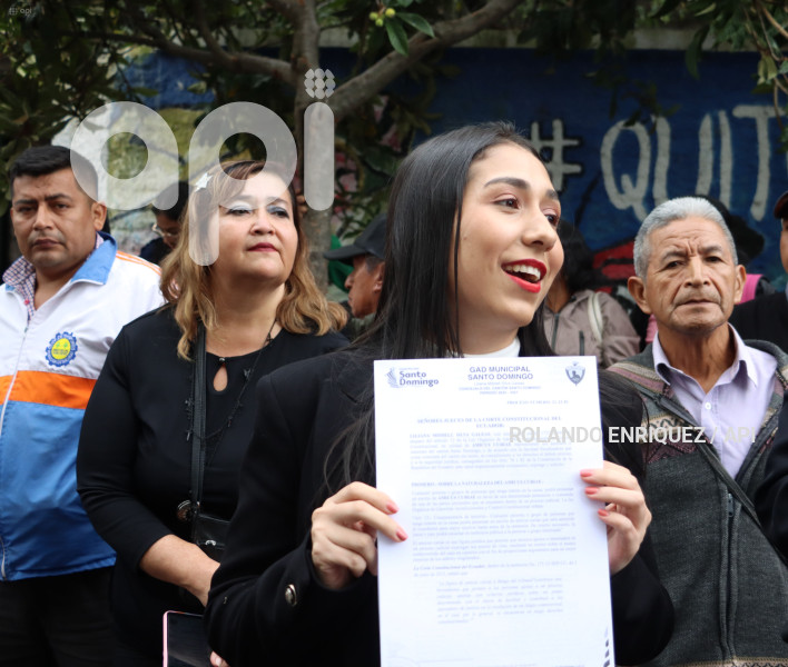 AMICUS-CURIAE-POR-VIA-SANTO-DOMINGO