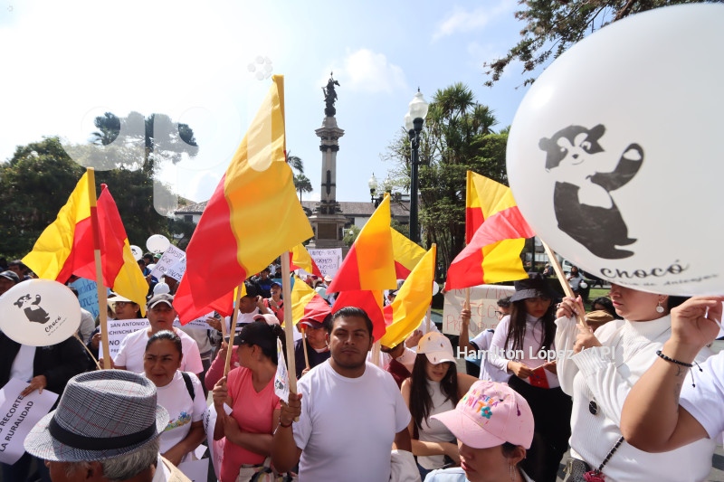 UIO-GAD-PARROQUIAS-PROTESTA