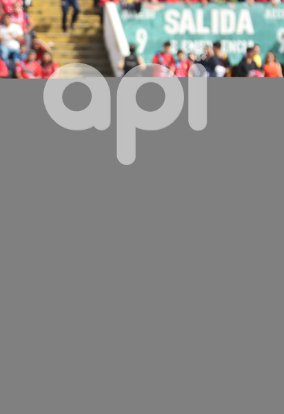 FBL-LIGA-PRO-ECUABET-NACIONAL-LIGA
