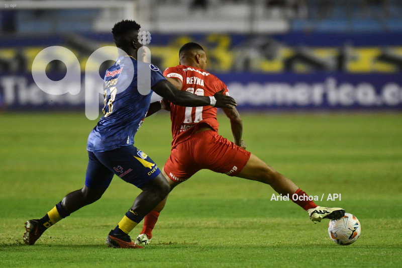 FBL-SUDAMERICANA-DELFIN-BELGRANO