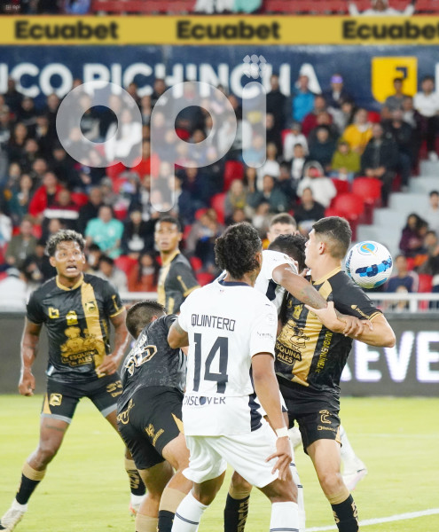 FBL LIGAPRO LIGA DELFIN