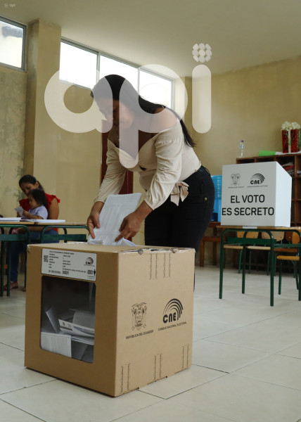 CONSULTA POPULAR 2024