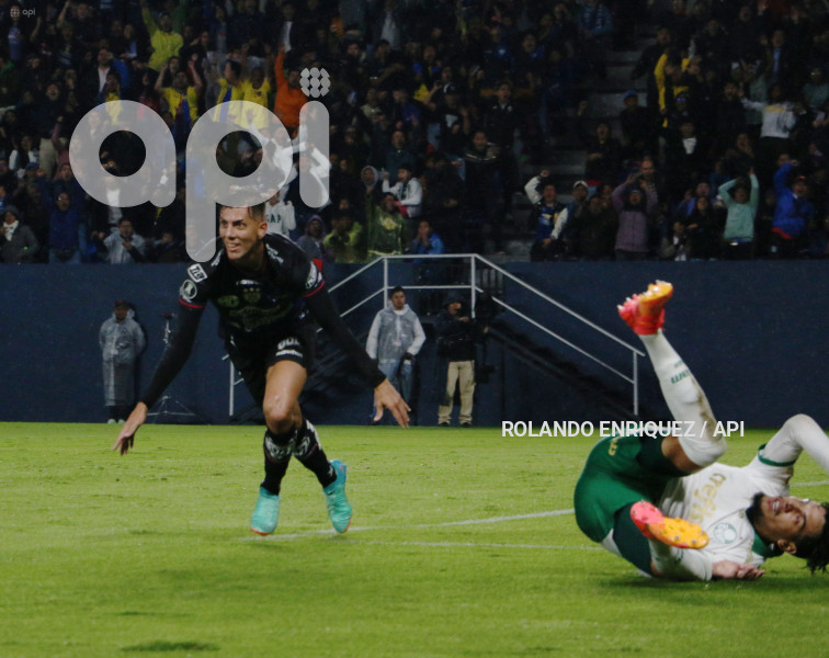 FBL-LIBERTADORES-INDEPENDIENTE-VALLE-PALMEIRAS