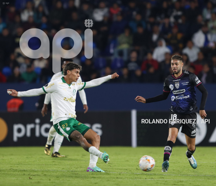 FBL-LIBERTADORES-INDEPENDIENTE-VALLE-PALMEIRAS