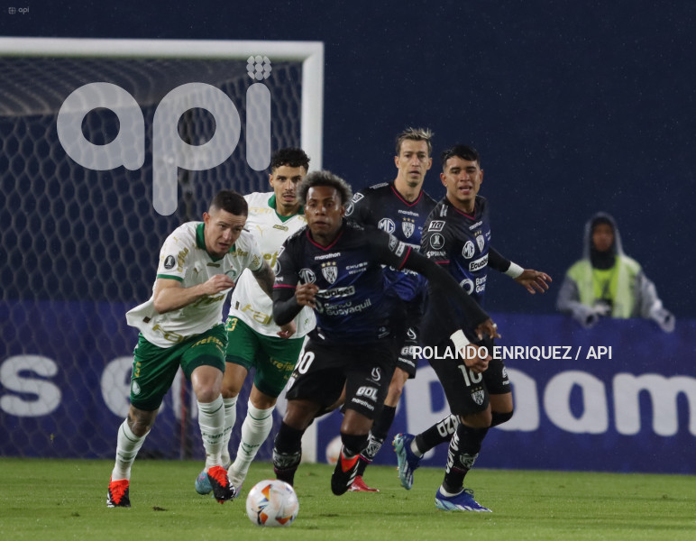 FBL-LIBERTADORES-INDEPENDIENTE-VALLE-PALMEIRAS