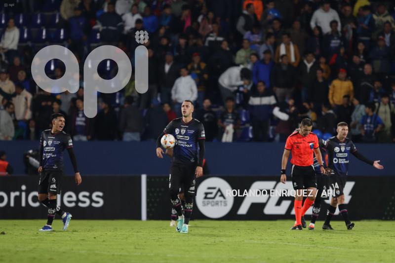 FBL-LIBERTADORES-INDEPENDIENTE-VALLE-PALMEIRAS