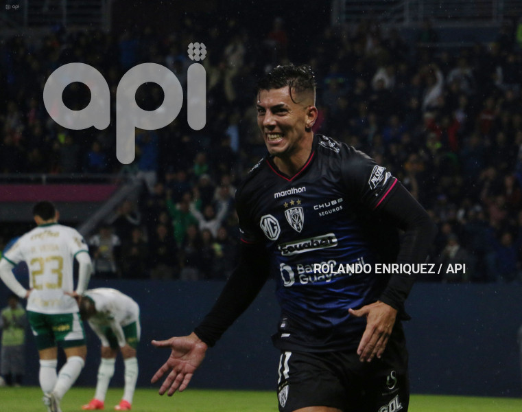 FBL-LIBERTADORES-INDEPENDIENTE-VALLE-PALMEIRAS