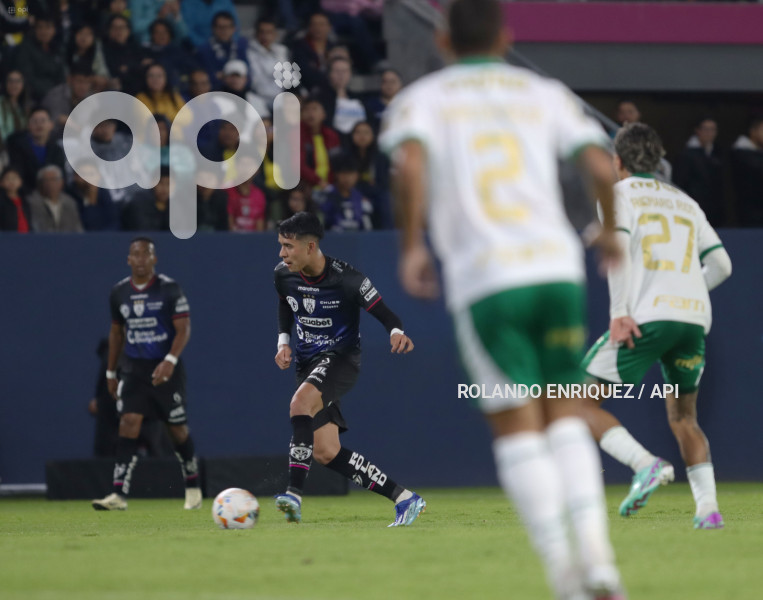 FBL-LIBERTADORES-INDEPENDIENTE-VALLE-PALMEIRAS
