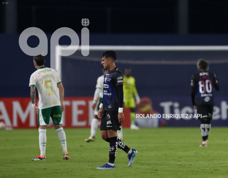 FBL-LIBERTADORES-INDEPENDIENTE-VALLE-PALMEIRAS