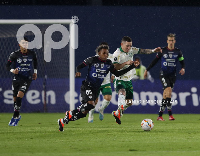 FBL-LIBERTADORES-INDEPENDIENTE-VALLE-PALMEIRAS