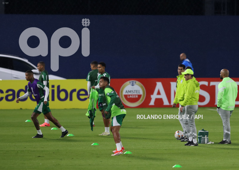 FBL-LIBERTADORES-INDEPENDIENTE-VALLE-PALMEIRAS
