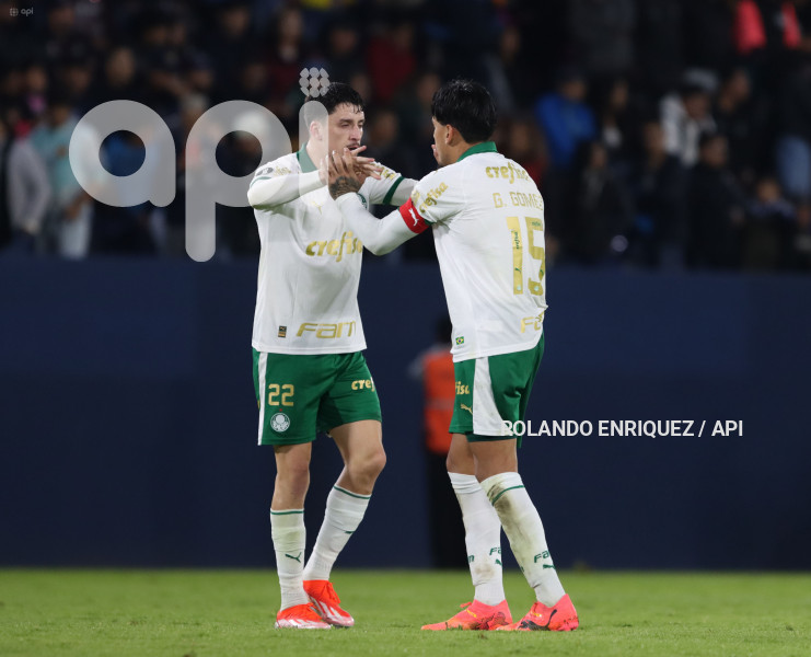 FBL-LIBERTADORES-INDEPENDIENTE-VALLE-PALMEIRAS