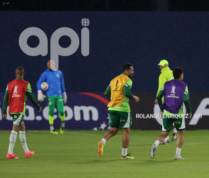 FBL-LIBERTADORES-INDEPENDIENTE-VALLE-PALMEIRAS