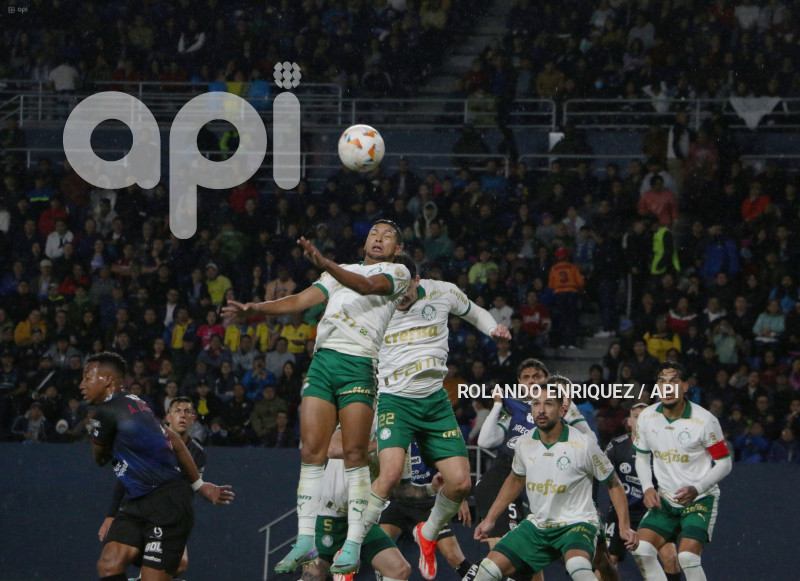 FBL-LIBERTADORES-INDEPENDIENTE-VALLE-PALMEIRAS