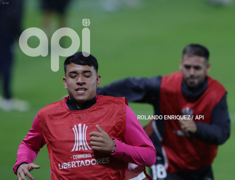 FBL-LIBERTADORES-INDEPENDIENTE-VALLE-PALMEIRAS