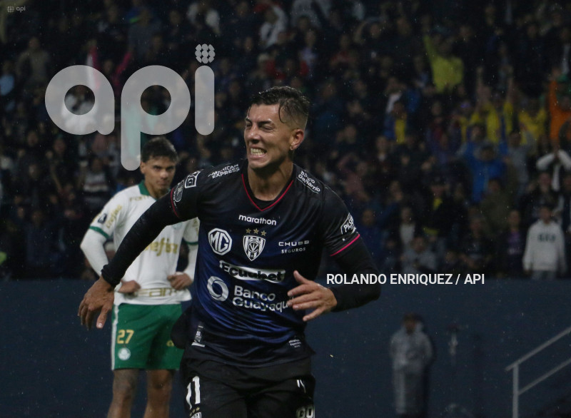 FBL-LIBERTADORES-INDEPENDIENTE-VALLE-PALMEIRAS