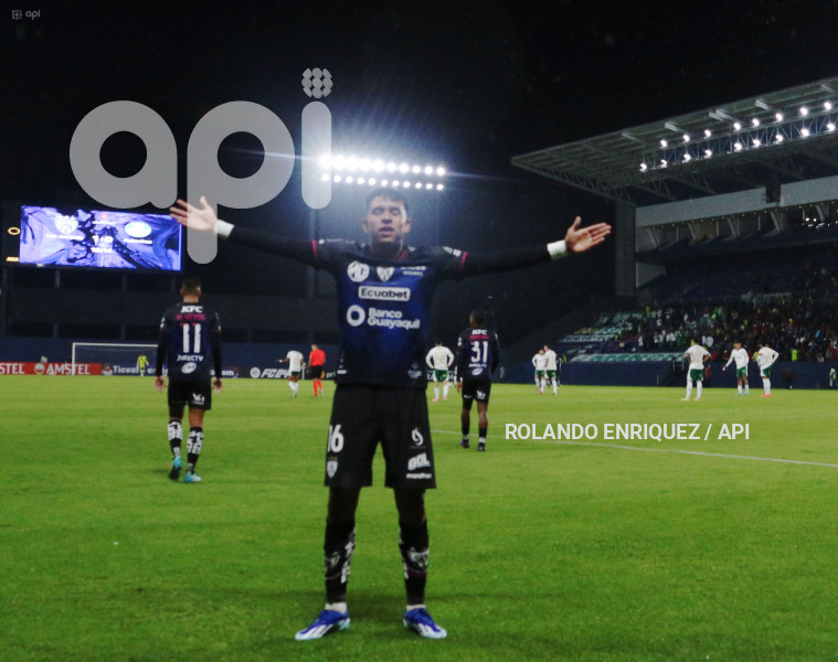 FBL-LIBERTADORES-INDEPENDIENTE-VALLE-PALMEIRAS