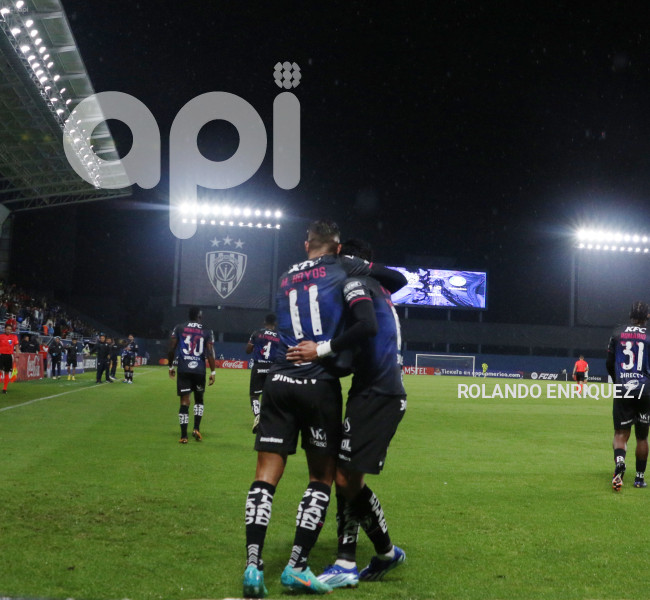 FBL-LIBERTADORES-INDEPENDIENTE-VALLE-PALMEIRAS