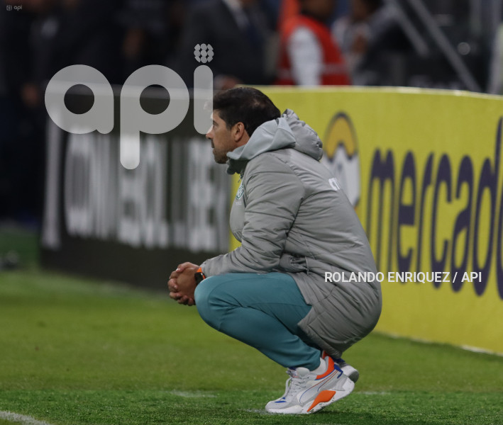 FBL-LIBERTADORES-INDEPENDIENTE-VALLE-PALMEIRAS