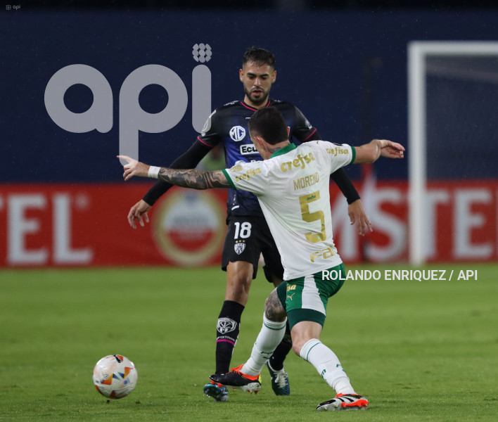FBL-LIBERTADORES-INDEPENDIENTE-VALLE-PALMEIRAS
