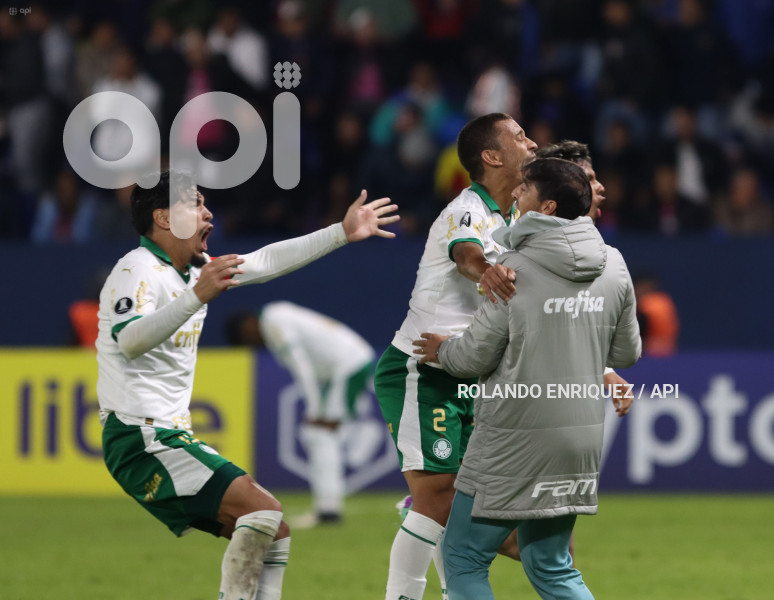 FBL-LIBERTADORES-INDEPENDIENTE-VALLE-PALMEIRAS