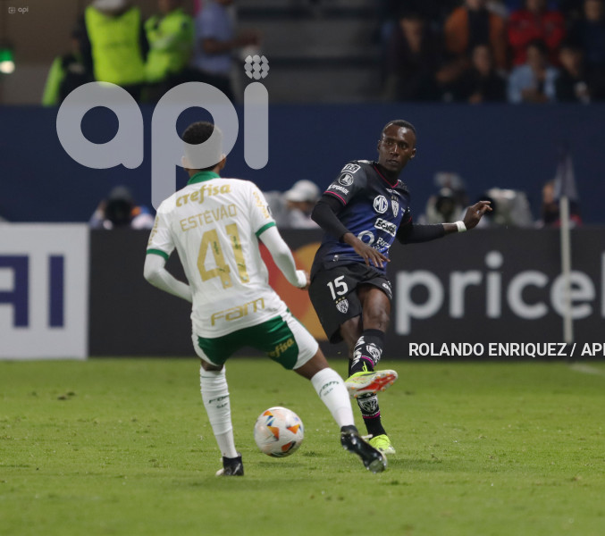 FBL-LIBERTADORES-INDEPENDIENTE-VALLE-PALMEIRAS