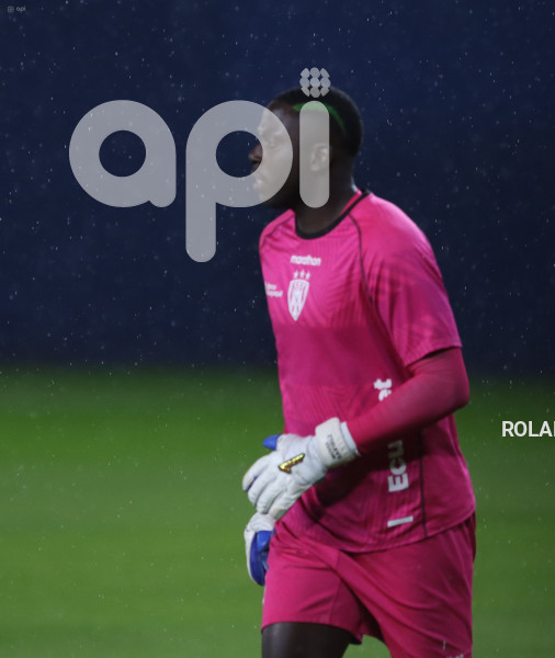 FBL-LIBERTADORES-INDEPENDIENTE-VALLE-PALMEIRAS