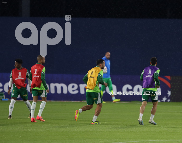 FBL-LIBERTADORES-INDEPENDIENTE-VALLE-PALMEIRAS