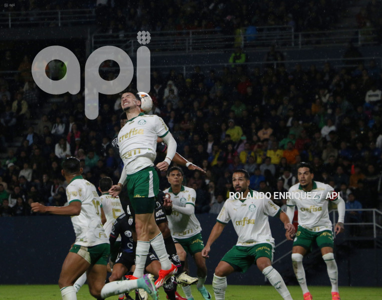 FBL-LIBERTADORES-INDEPENDIENTE-VALLE-PALMEIRAS