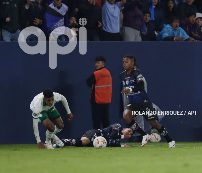 FBL-LIBERTADORES-INDEPENDIENTE-VALLE-PALMEIRAS